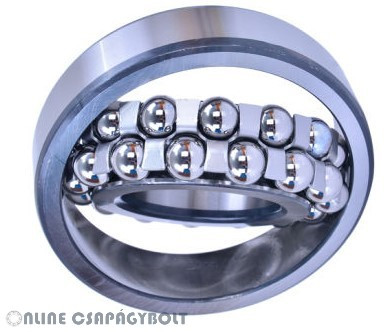 1308 EKTN9C3 SKF Bearing