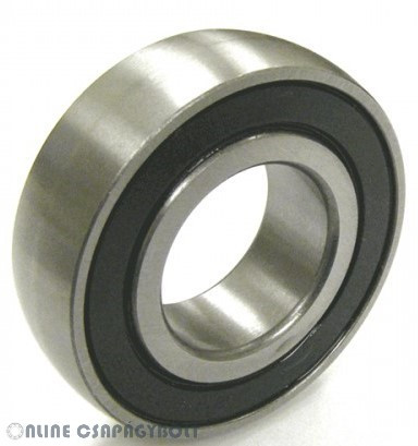 1726210 2RS SKF Bearing