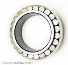 263-899 FLT Bearing