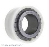 263-919 FLT Bearing