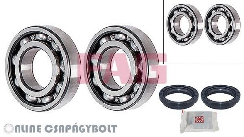 713 6220 10 FAG Bearing 