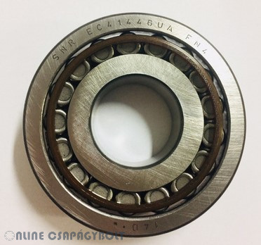 EC.41446.S01.H206 SNR Bearing