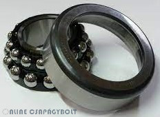 F-237541.02 SKL-H79 FAG Bearing