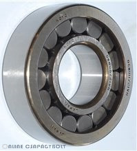 F-45864.1 (F 19020) FERSA Bearing