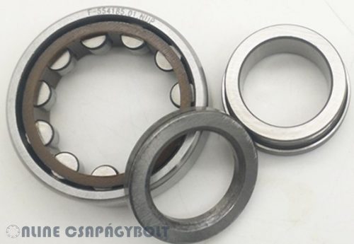 F-554185.01.NUP INA Bearing