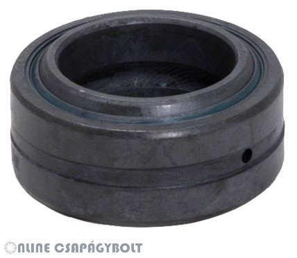 GE 100 ES 2RS CHI Bearing