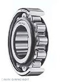 NF 207 KOYO Bearing