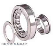 NUP 206 KOYO Bearing