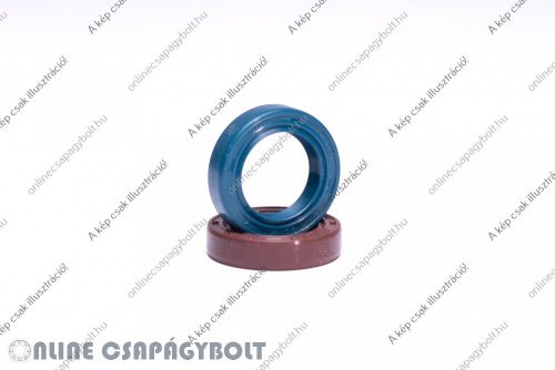 S15.87X22.22X3.175  VC NBR  Oil seal