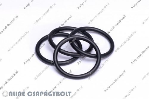 X 75.79X3.53  O-Ring